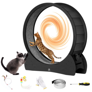 Cat Exercise Wheel for Indoor Cats
